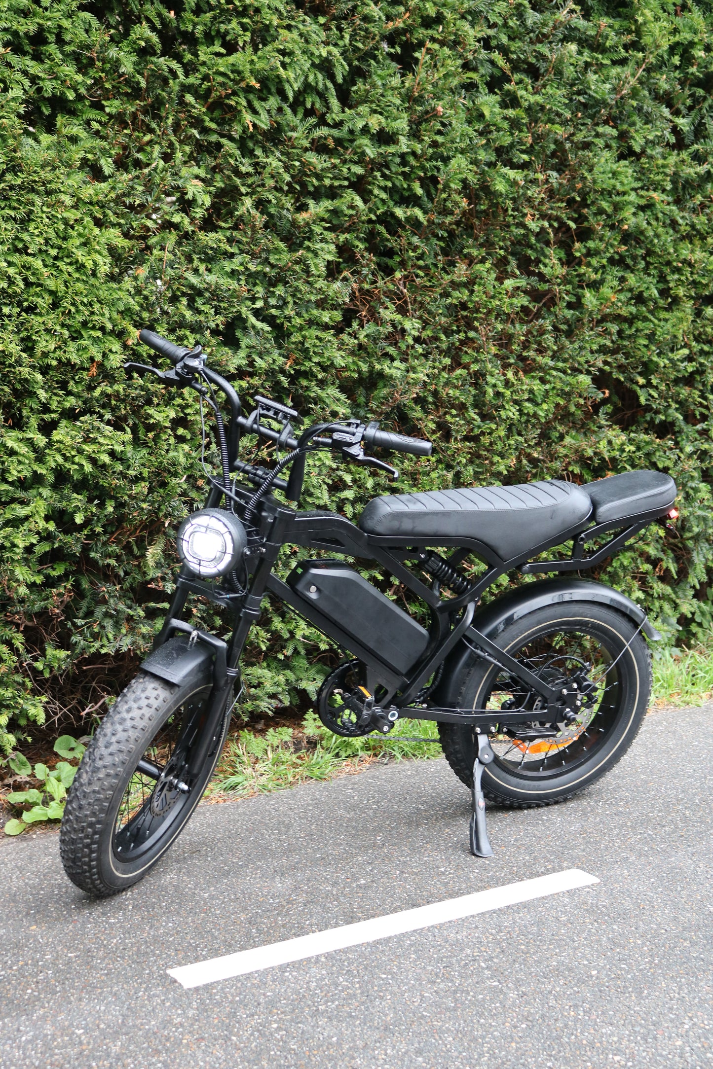 E-BEAST A20 Fatbike — EU-Legal Electric Bike (25 km/h, 250W)