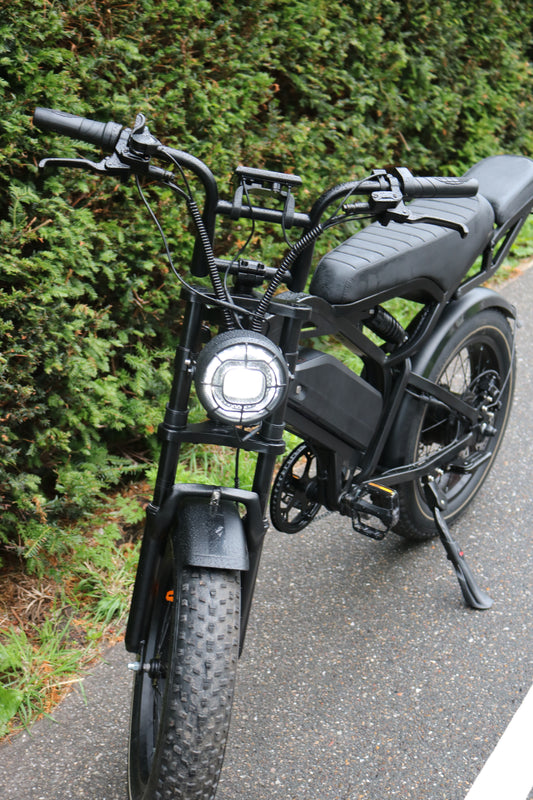 E-BEAST A20 Fatbike — EU-Legal Electric Bike (25 km/h, 250W)